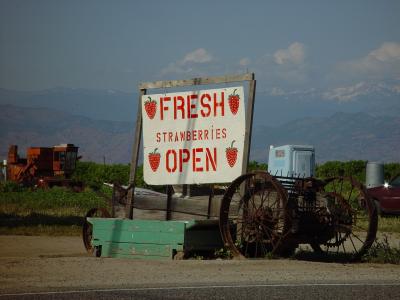 Fruit Stand by Nee