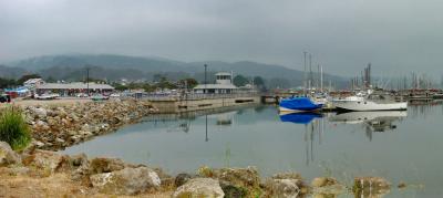 Pillar Point Harbor by Dee Golden