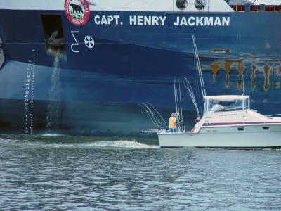 <b>The Captain Henry Jackman</b><br><font size =1>by Bev Brink</font>