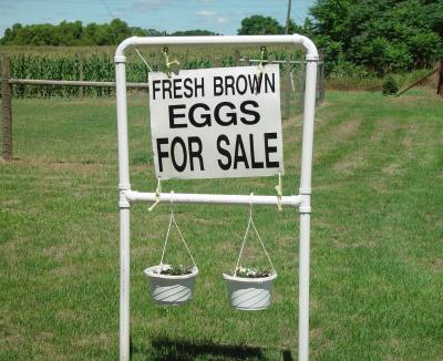 Fresh Brown Eggsby Bev Brink
