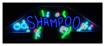 Shampoo!by Evil4Blue