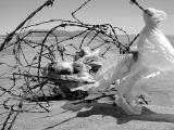 Artful Trash by CindyD