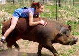 Real Ponies Dont Go Oink!