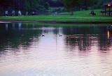 <p align=right><b>Sunset at City Park</b><br><i><font size=1> photographed by </font >Faye White</i></font></p>