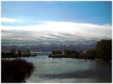 <p align=center><b>Looking Out Towards The Lake</b><br><font size=1> cUrVe</font></p>