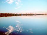 Dsc01977 b.jpg