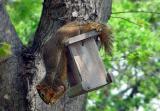 Caught In The Act <font size=-1><br> by MxCat