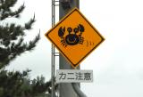 10th<br><p align=center> <b> Be Careful of Crabs </b> <br> <font size=1> by Helen Betts </font> </p>