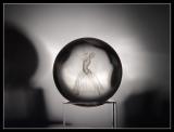 <b>A Study Of Light</b><br> by Kostya
