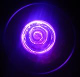 Black Light by Sarah D