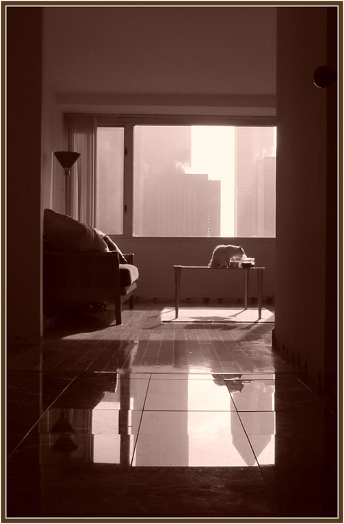 <b>10th Place - new floors</b><br><font size=1>ruddyone</font>