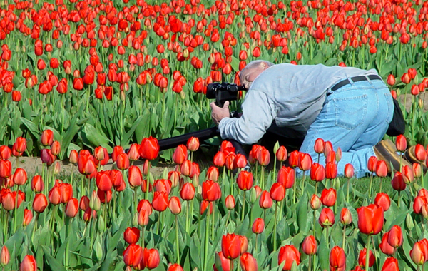 Getting The Perfect Shot by MickeyD