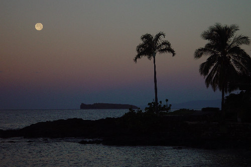 Moonset at Dawn <br> by kudbegud
