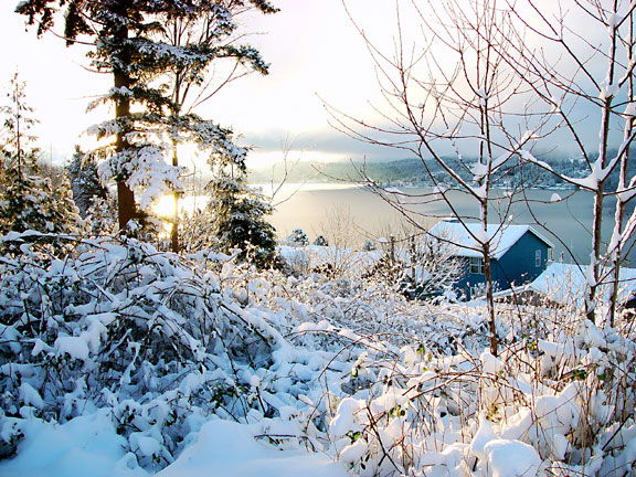 <B>Winter View of Lake Whatcom</B><BR><FONT SIZE=1>By Ann Chaikin</FONT><BR>