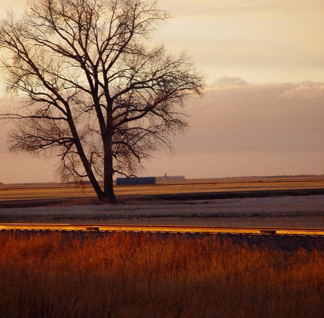 Evening Glow
