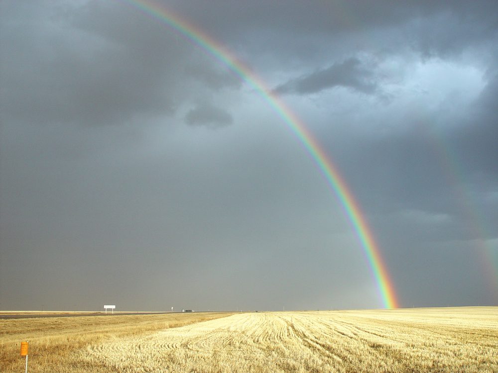 Field of Rainbows