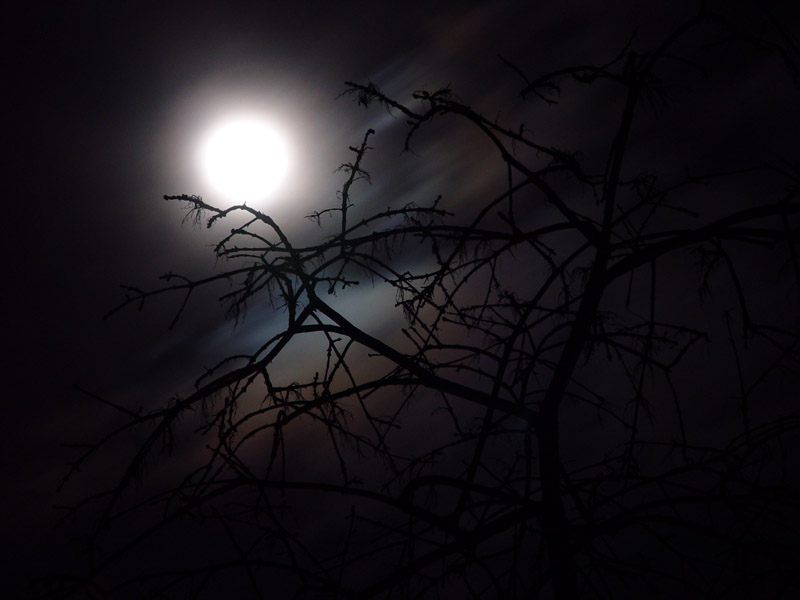 Creepy Moon