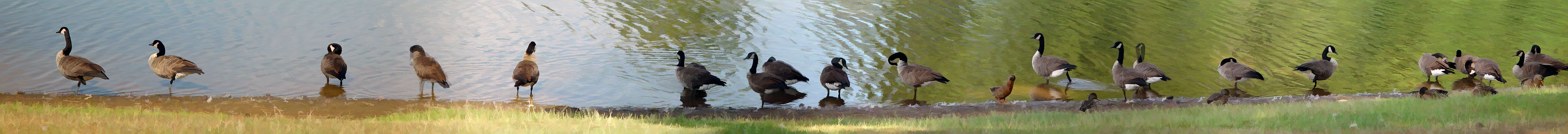 <B><br>Staff Meeting: Monday, 10 AM, City Park</B><BR><FONT size=1>by Faye White</FONT>
