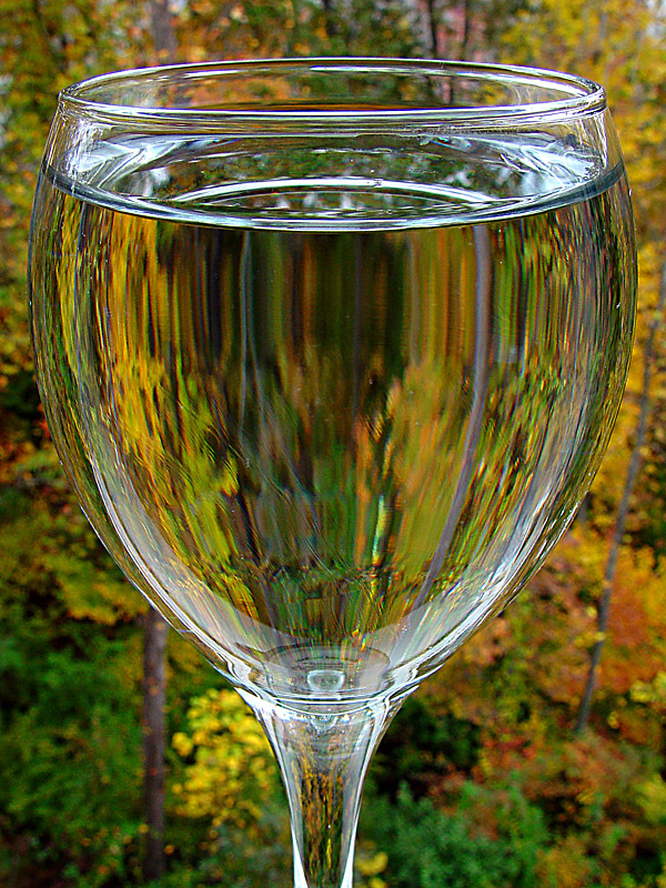 <B>8th Place (tie)</B><p>Chateau Fall Foliage 2002<br>pablo