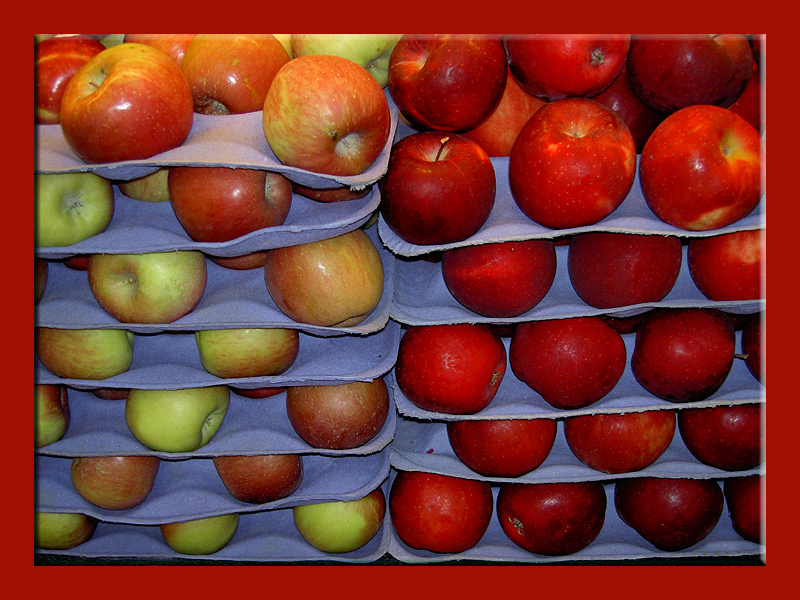 <B>Organic Apples</B><BR><FONT size=2>by Ann Chaikin</FONT>
