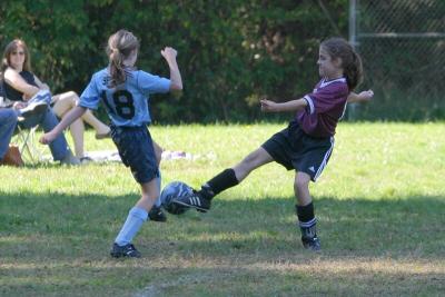 245_4537f.jpg