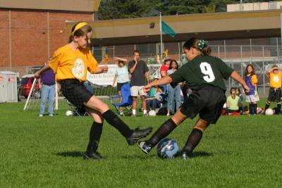 242_4260f.jpg