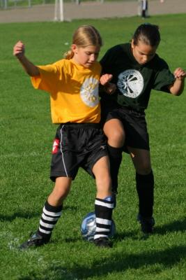 242_4300f.jpg