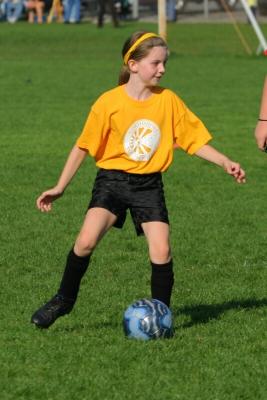 243_4312f.jpg