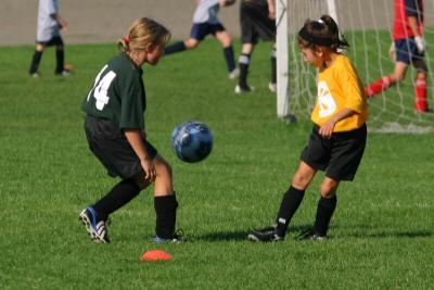 243_4321f.jpg