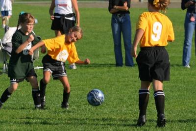 243_4399f.jpg