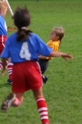 248_4823f.jpg