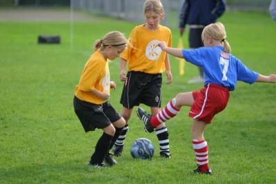 248_4831f.jpg