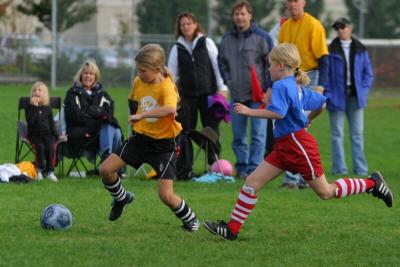 248_4834f.jpg