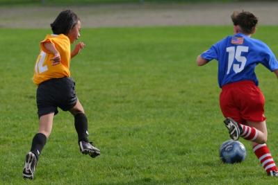 248_4889f.jpg