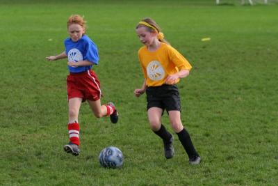 248_4899f.jpg