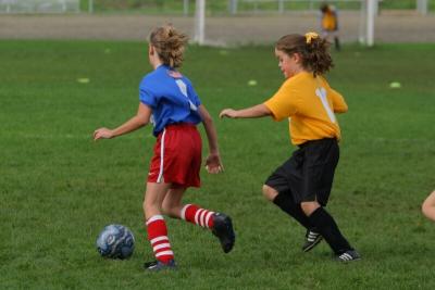 249_4944f.jpg