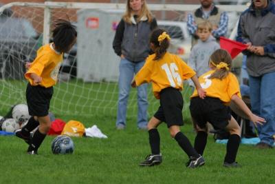 249_4953f.jpg