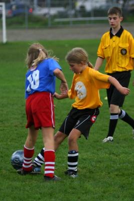 249_4997f.jpg