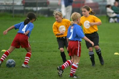 250_5010f.jpg