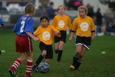 250_5086f.jpg