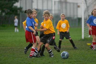 251_5119f.jpg