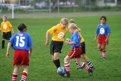 251_5133f.jpg