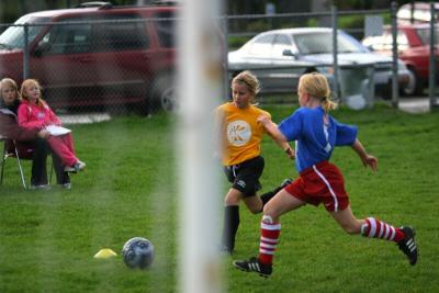 251_5137f.jpg