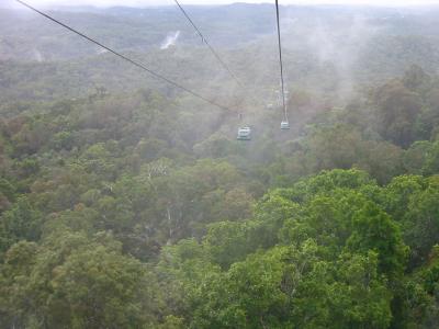 Cables in the Mist