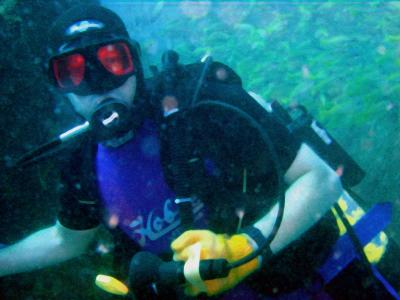 Tim_diving.jpg