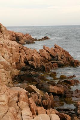 The coastline just east of Bass Harbor Light in Bass Harbor, Maine. Acadia National Park.