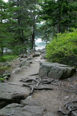 One of the many beautiful views along the path on the Ship Harbor Nature Trail near Seawall on Rt. 102A in Acadia National Park.