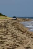 Chappaquiddick Solitude