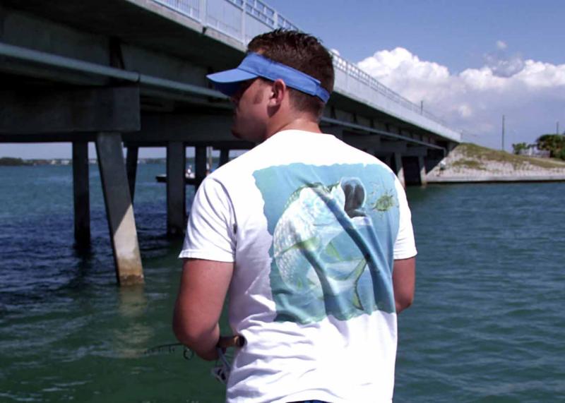 ray: dolphin spotting
