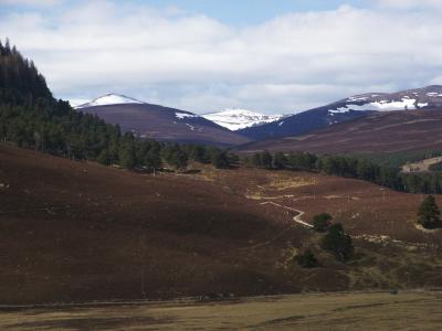 Derry Cairngorm and Beinn Mheadhoin from the Dee